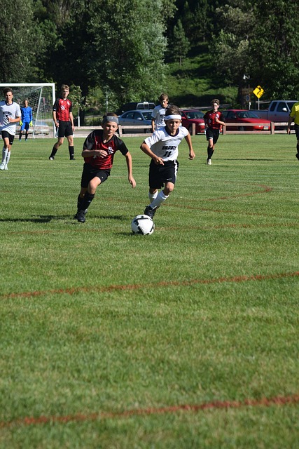 藏着什么 藏着什么