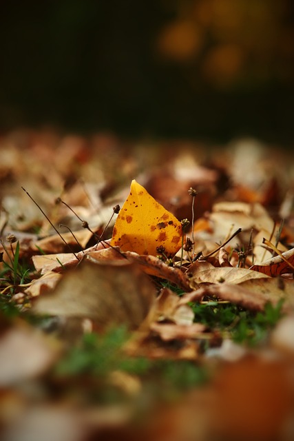 成了一定的 成了一定的