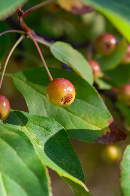 诠释了何为 诠释了何为