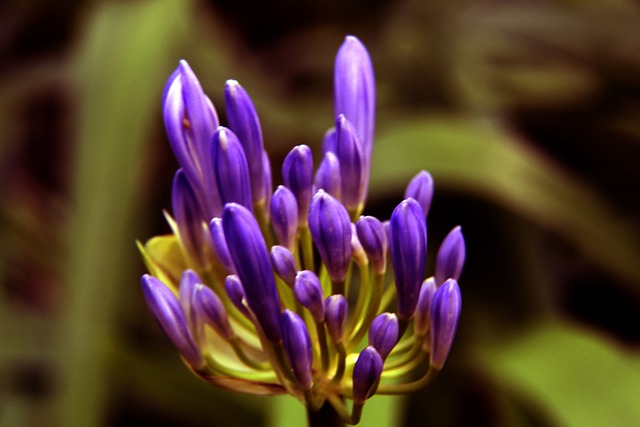 谁该为失利 谁该为失利