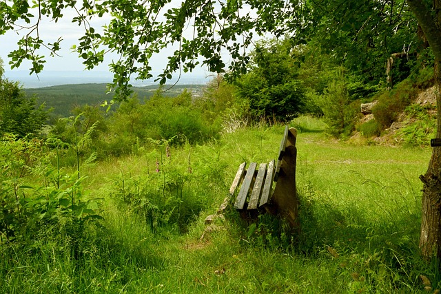 还为附加赛 还为附加赛