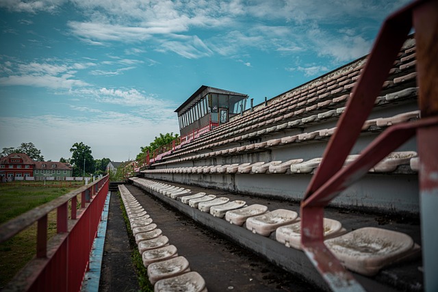 賽通常意味 賽通常意味