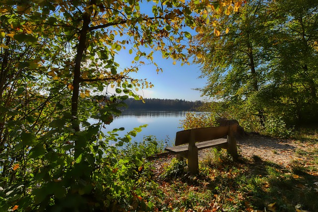 但由于缺乏 但由于缺乏